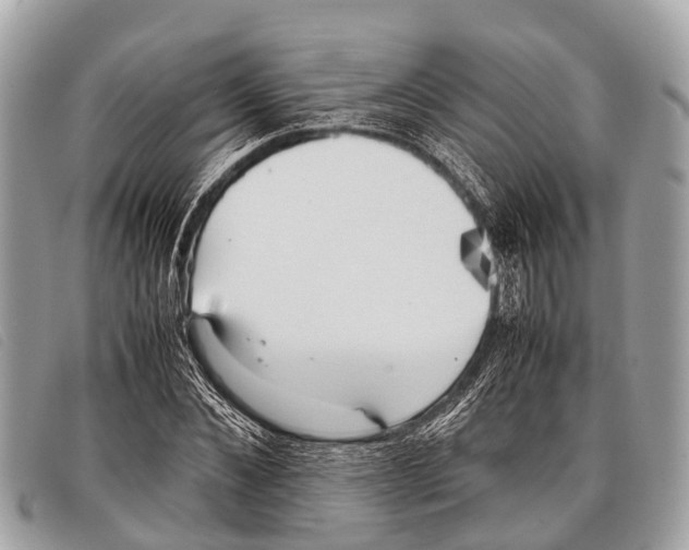 X0000097860876200804111151