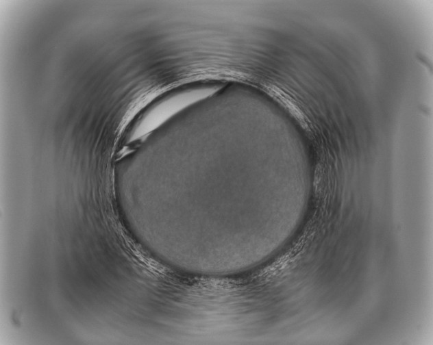 X0000097860877200804111150