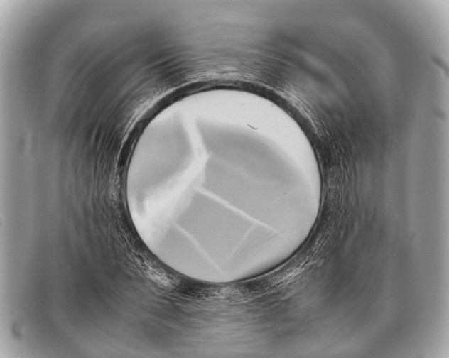 X0000097860879200804111150