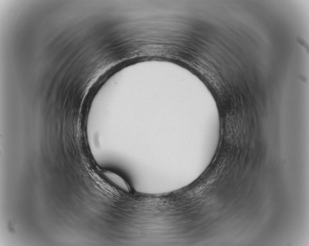 X0000097860880200804111150