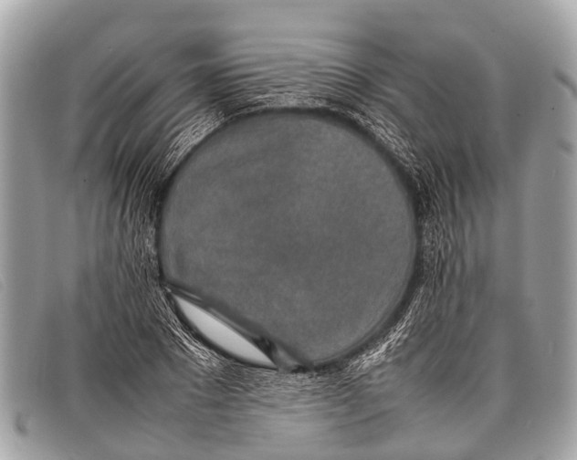 X0000097860881200804111150