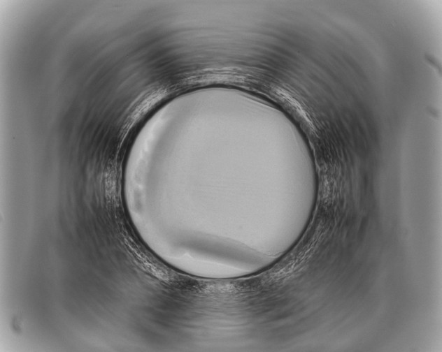 X0000097860882200804111150