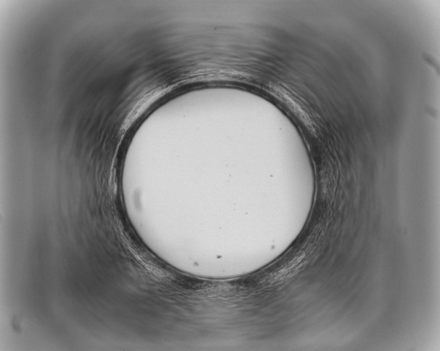 X0000097860885200804111150