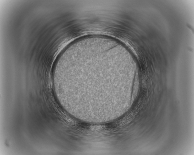 X0000097860887200804111150