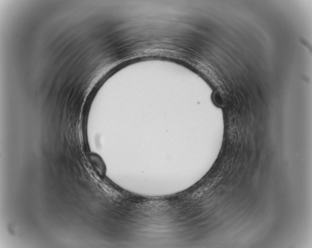 X0000097860888200804111150