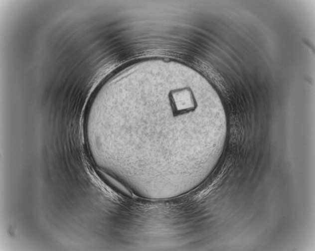 X0000097860892200804111150