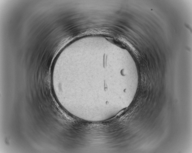 X0000097860894200804111150