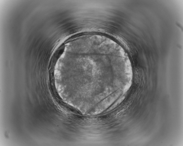 X0000097860895200804111150