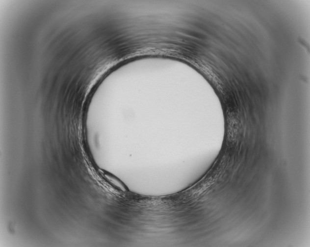 X0000097860896200804111150