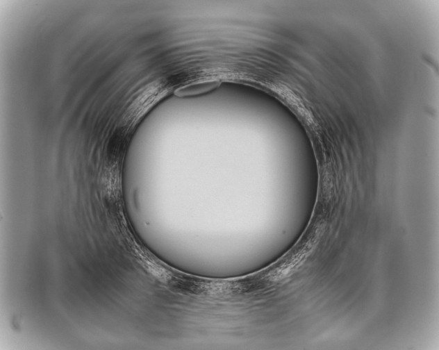 X0000097860897200804111150