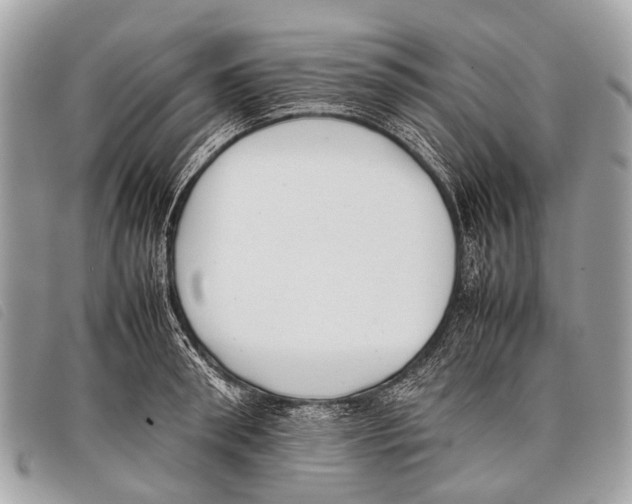 X0000097860898200804111150