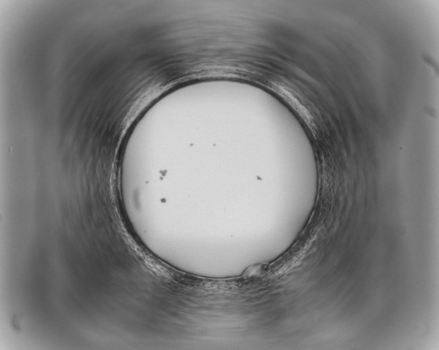 X0000097860901200804111150