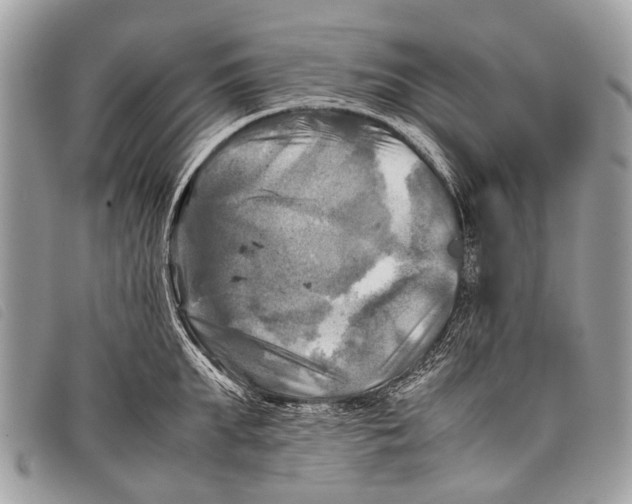 X0000097860903200804111150