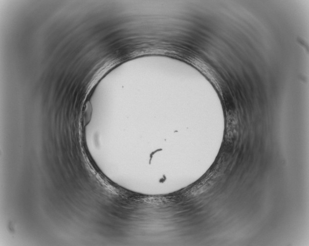 X0000097860906200804111150