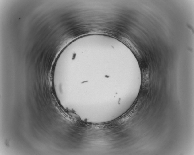 X0000097860908200804111150