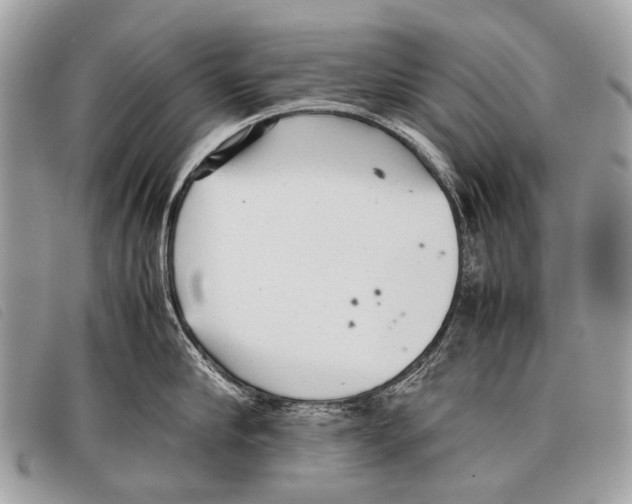 X0000097860910200804111150