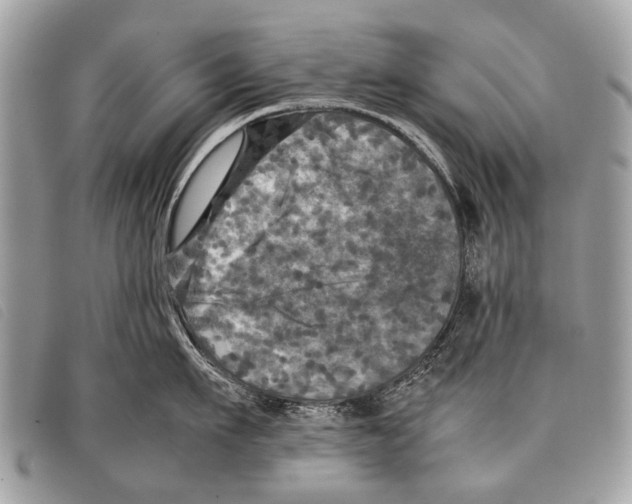 X0000097860911200804111150