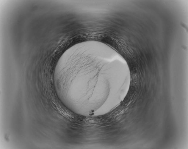 X0000097860913200804111149