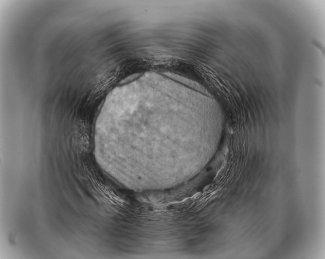 X0000097860916200804111149