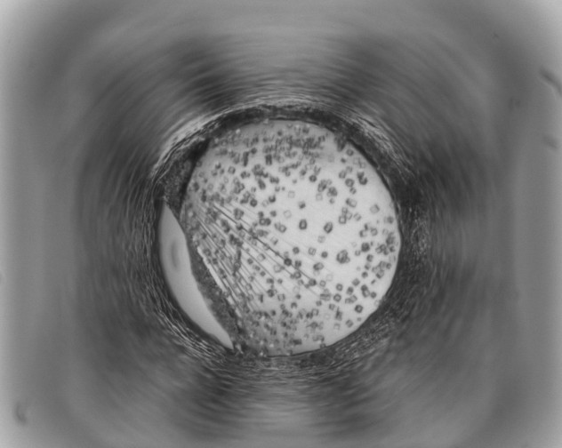 X0000097860920200804111149