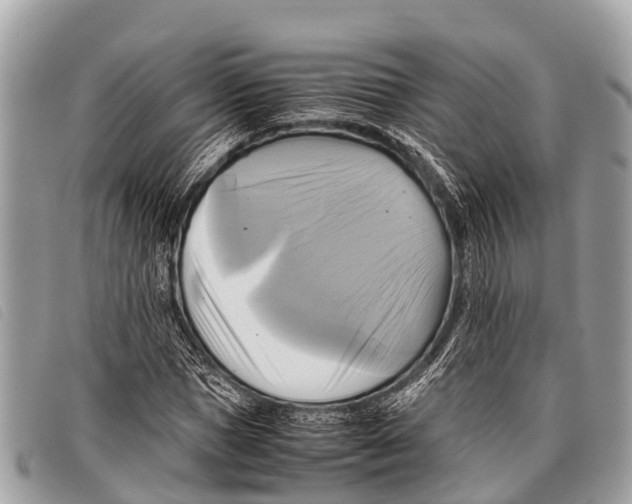 X0000097860921200804111149