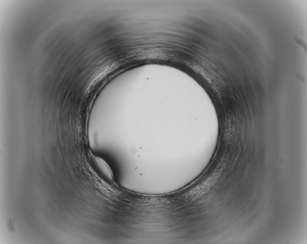 X0000097860922200804111149