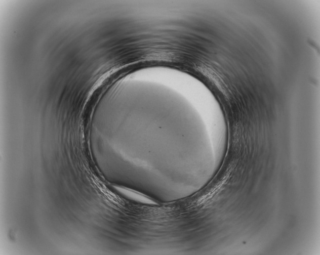 X0000097860923200804111149