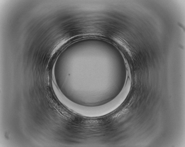 X0000097860925200804111149