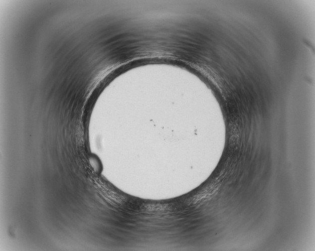 X0000097860927200804111150