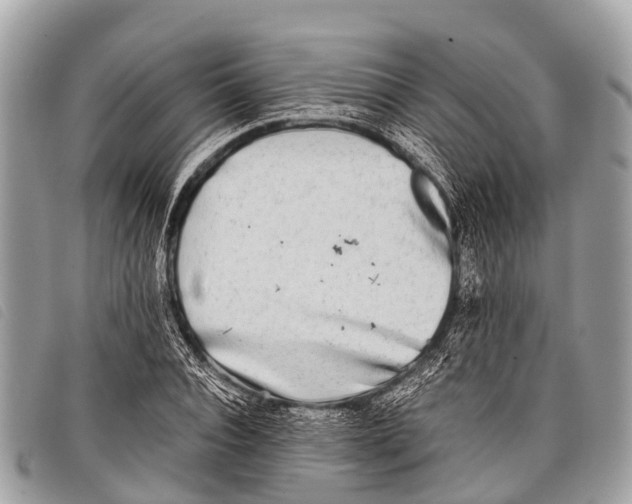 X0000097860928200804111150