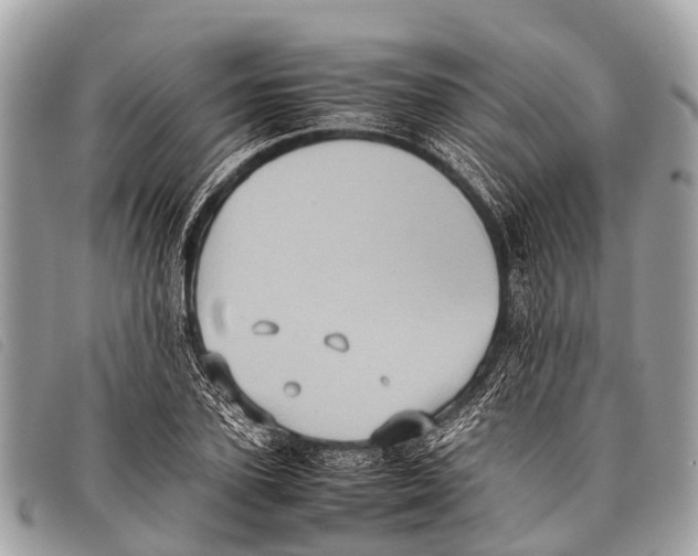 X0000097860931200804111150