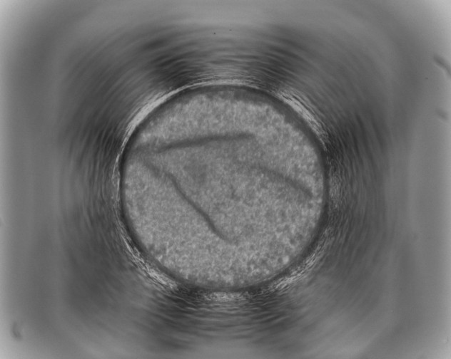 X0000097860933200804111150