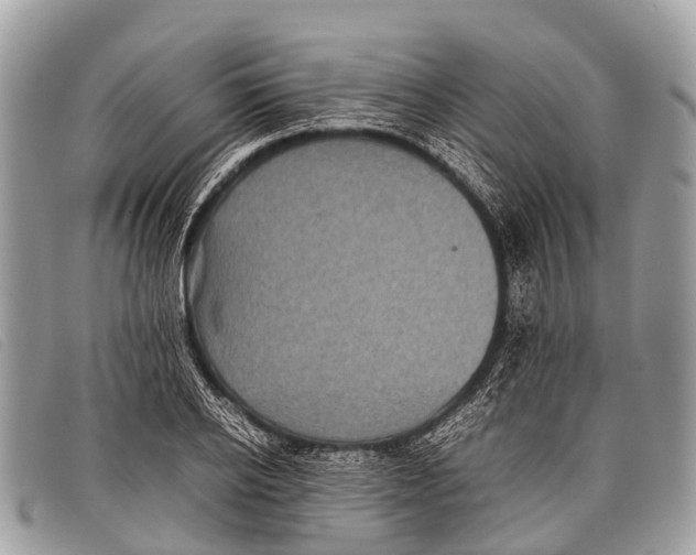 X0000097860934200804111150