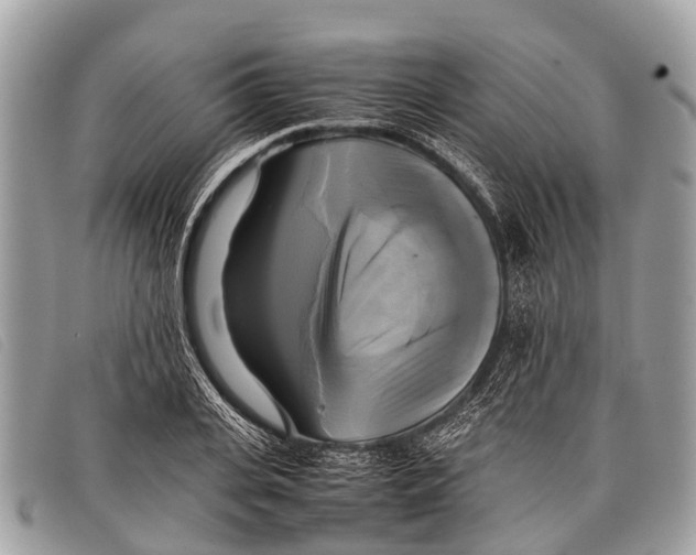 X0000097860935200804111150