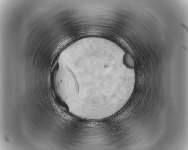 X0000097860938200804111150