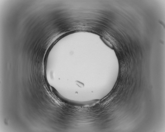 X0000097860940200804111150