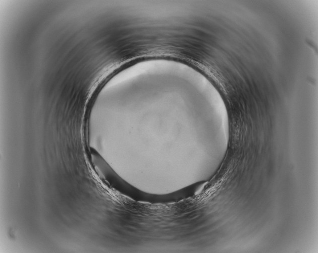 X0000097860943200804111150