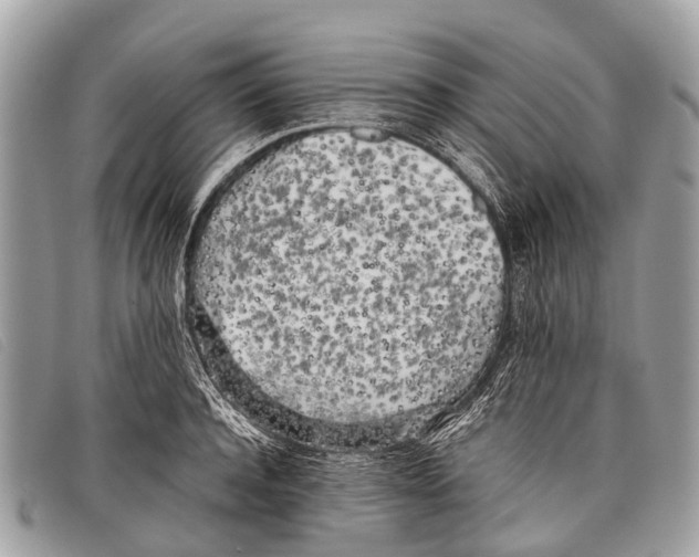 X0000097860944200804111150