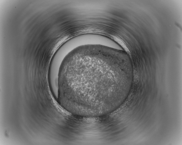 X0000097860946200804111150