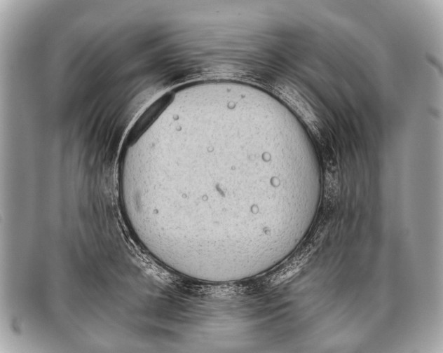 X0000097860948200804111150