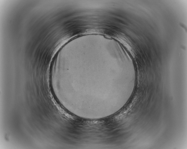 X0000097860949200804111150