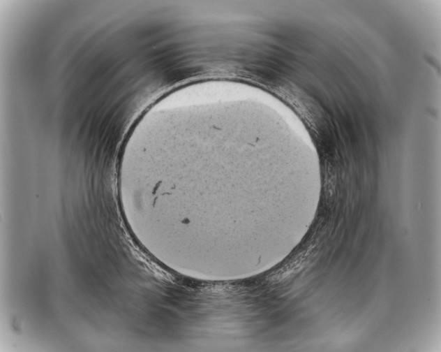 X0000097860950200804111150