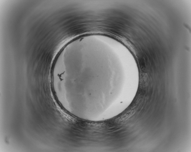 X0000097860951200804111150