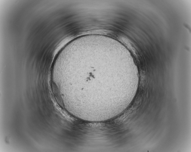 X0000097860952200804111150