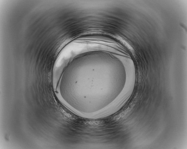 X0000097860953200804111150