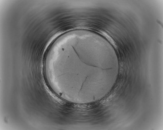 X0000097860955200804111150