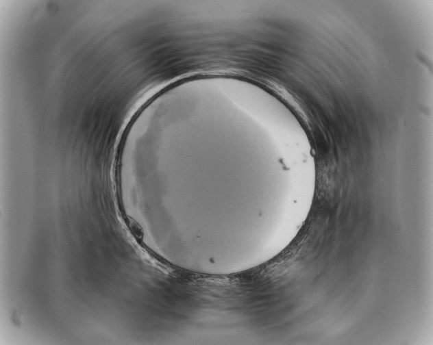 X0000097860959200804111150