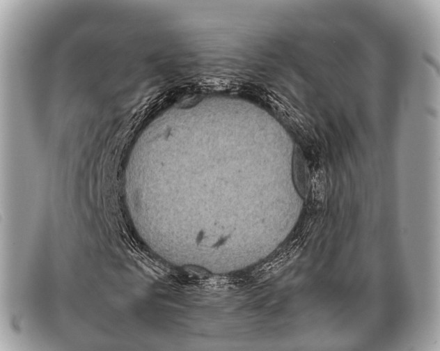 X0000097860961200804111149