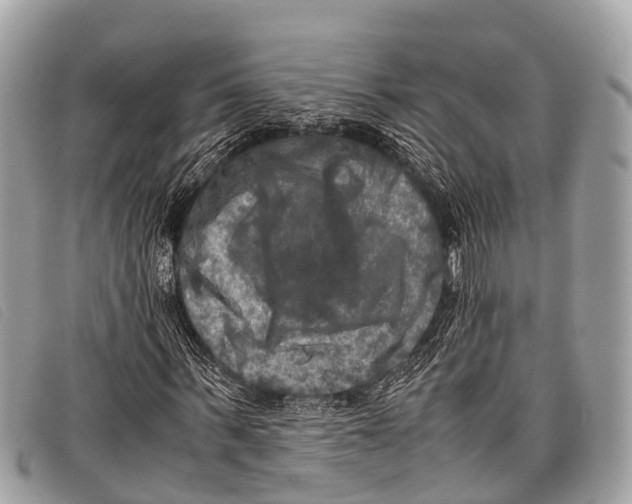 X0000097860963200804111149