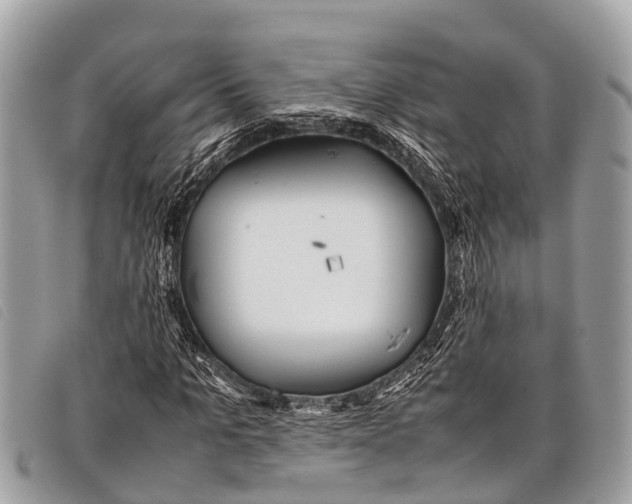 X0000097860965200804111149